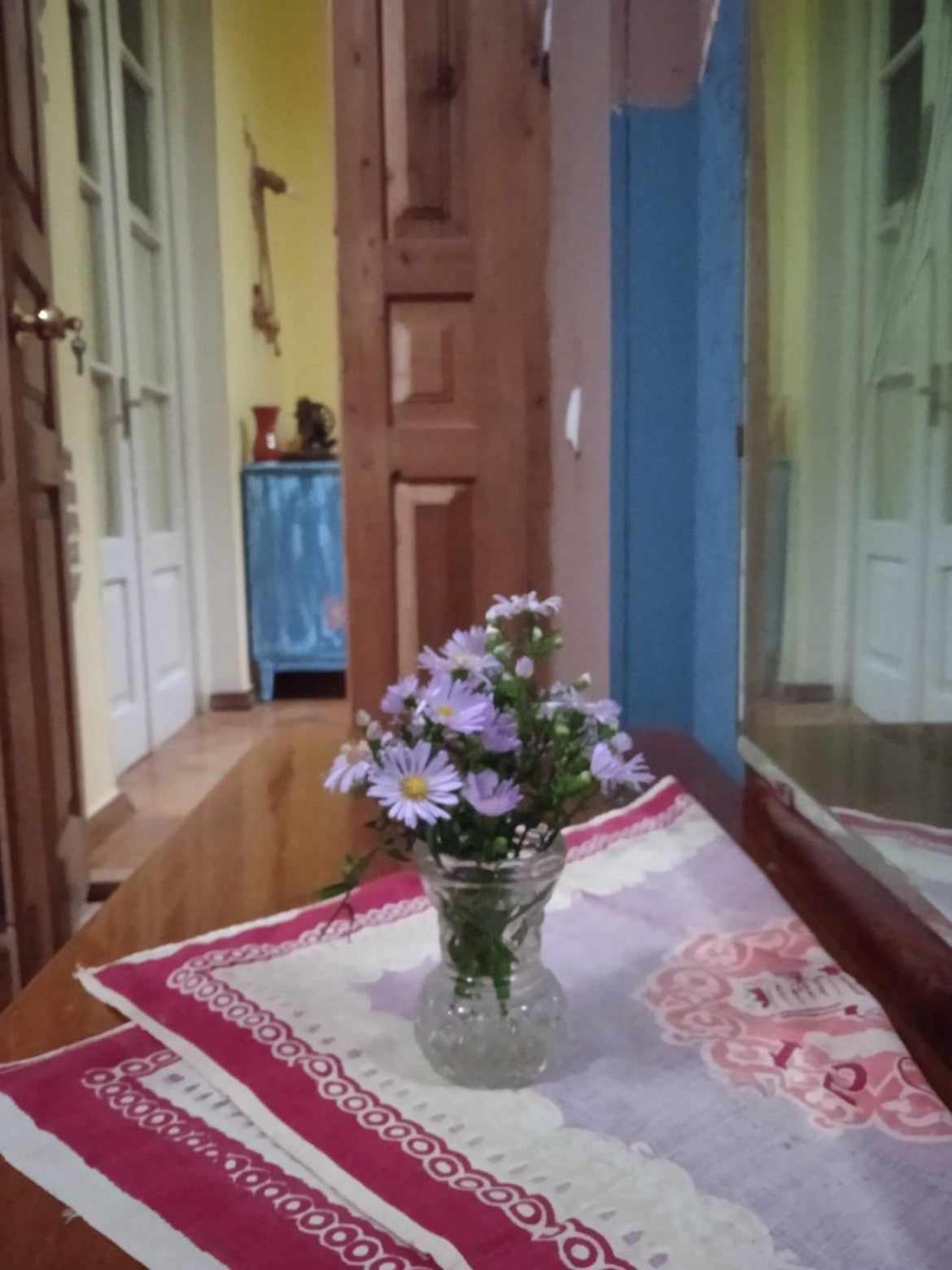 Guest House Meri Poppins Dedoplis Tskaro ภายนอก รูปภาพ